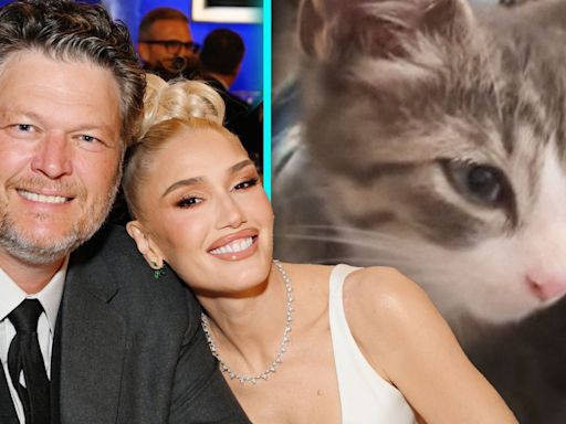 Gwen Stefani and Blake Shelton Announce New Addition to Their Family!