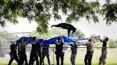 Watch: Rescuers catch bear as it falls from tree