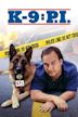 K-9: Investigadores privados