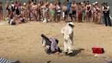 Alarma en la playa de la Concha de San Sebastián: un enjambre de abejas invade un carrito de bebé