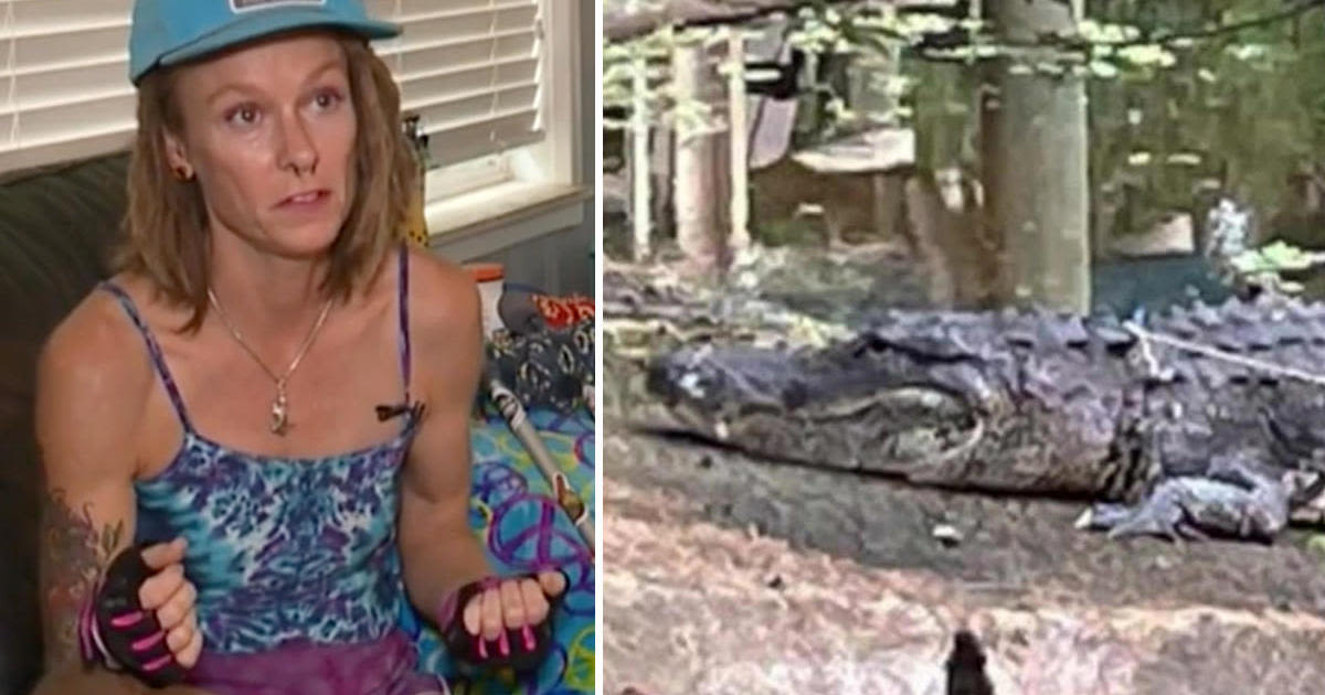 Florida woman survives attack by punching massive 400-pound alligator in its snout