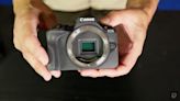 The best mirrorless cameras for 2024