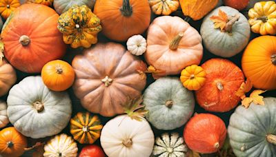 Bring a Hint of Spice to the Season With These Fun Pumpkin Quotes