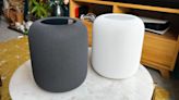 Leaked images shows what Apple's HomePod with a display might look like