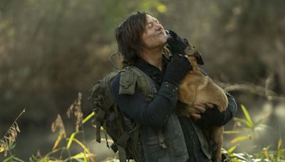 Walking Dead's Norman Reedus shares tribute to dog co-star after his death