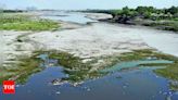 No Yamuna desilting done in recent years | Delhi News - Times of India