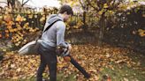 Repurpose Fallen Leaves with the 8 Best Leaf Mulchers