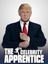 The Celebrity Apprentice - Season 11