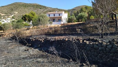 Desastres limítrofes: el incendio de Xaló se originó junto a bancales donde se trituran almendros atacados por la Xylella