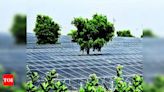 Edu Institutions can Monetise Rooftop Solar During Vacations | Jaipur News - Times of India