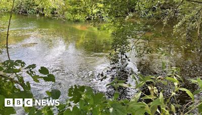 Climate change leads to River Lea chalk stream restoration