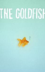 The Goldfish