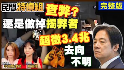 民間特偵組/國會改革釋憲準備程序庭有點「怪」！前藍委斷言最後結果