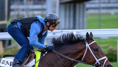 Fierceness is the favorite for 2024 Kentucky Derby. How often does the favorite win?