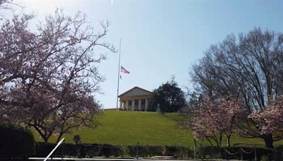 Video: The tranquility of Arlington National Cemetery in the springtime