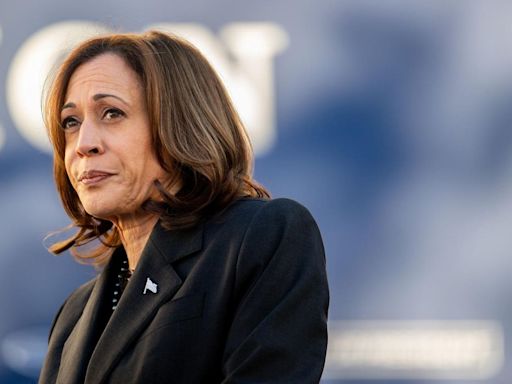 2024 Election: The Elephant In The Room -Kamala Harris