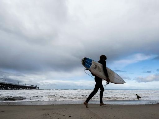 Cerraron una popular playa en California tras el ataque de un tiburón a un surfista