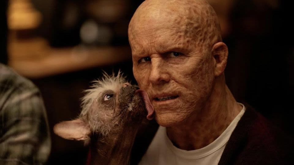 ‘Deadpool & Wolverine’ will feature a canine character voted Britain’s ‘ugliest dog,’ says Ryan Reynolds