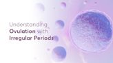 Understanding Ovulation with Irregular Periods