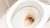 Remove stubborn toilet limescale with cheap and effective household item