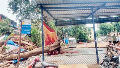 Mumbai: Passer-by dies after trees collapse in Worli