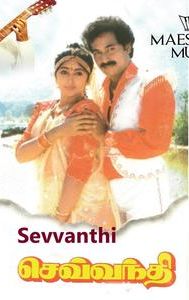 Sevvanthi