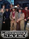 The Magnificent Seven