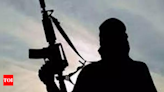 Pakistani Taliban's senior commander killed in Afghanistan - Times of India