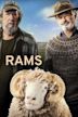 Rams (2020 film)