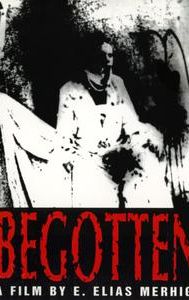 Begotten (film)