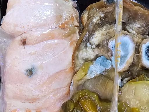 American Airlines launches investigation over moldy meal served on flight