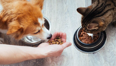 Exigen que se retire urgente este alimento para mascotas de todos los supermercados y puntos de venta