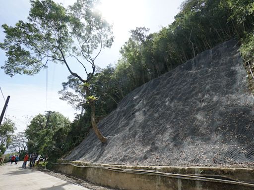 花蓮熱門景點颱風土石坍方 吉安楓林步道掛網護坡