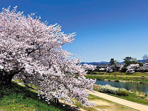 今日信報 - 理財投資 - 高瀨川與鴨川 - 新股女王 - 花見人生 - 信報網站 hkej.com