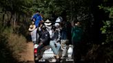 Mexico water wars: Farmers take over avocado orchards that need too much water