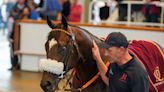 'He's very much on the up' - Jubilee Walk with Bahrain targets after 220,000gns sale at Tattersalls