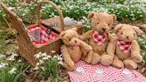The Teddy Bear Picnic is possibly (definitely) LA Arboretum's most adorable event