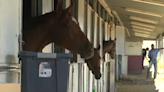 Racehorses evacuated from Ruidoso Downs to Expo New Mexico