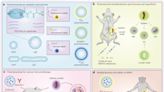 New study shows polymersomes' potential in cancer immunotherapy