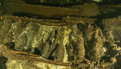 Polish Divers Just Found a 19th-Century Shipwreck Loaded With ‘Very Exclusive’ Champagne