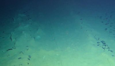 Misterioso 'oxigênio negro' é descoberto nas profundezas do oceano