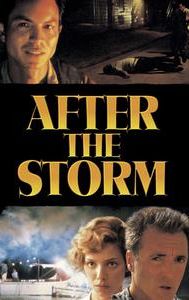 After the Storm (2001 film)