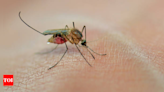 Zika virus alert: Preventive tips to stay safe - Times of India