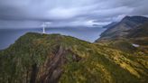 Chile crea el Parque Nacional Cabo Froward, casa de la conífera más austral del mundo