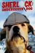 Sherlock Bones, Undercover Dog