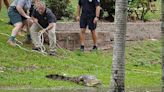 Flights stopped and crocodiles seen roaming streets as severe floods hit Australia’s Queensland