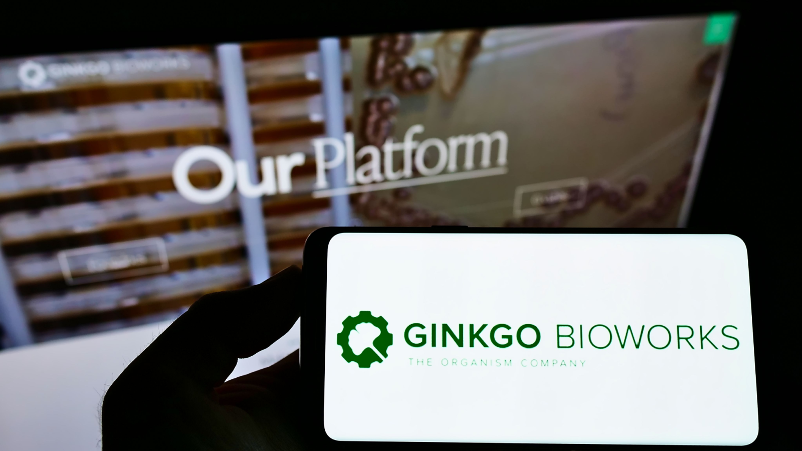 Ginkgo Bioworks Layoffs Expand to 400 Job Cuts