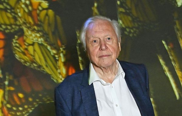 David Attenborough replaced by BBC in major shake-up of popular show