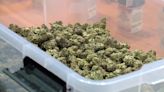 Missouri judge allows local sales taxes on marijuana to stack