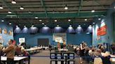 Spelthorne General Election results 2024 in full